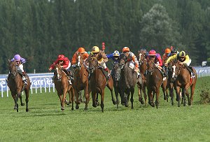 course