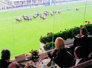 course 