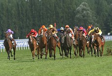 course