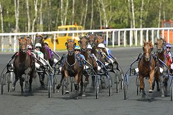 vincennes